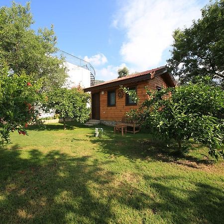 Bal Badem Bungalow Datça Luaran gambar