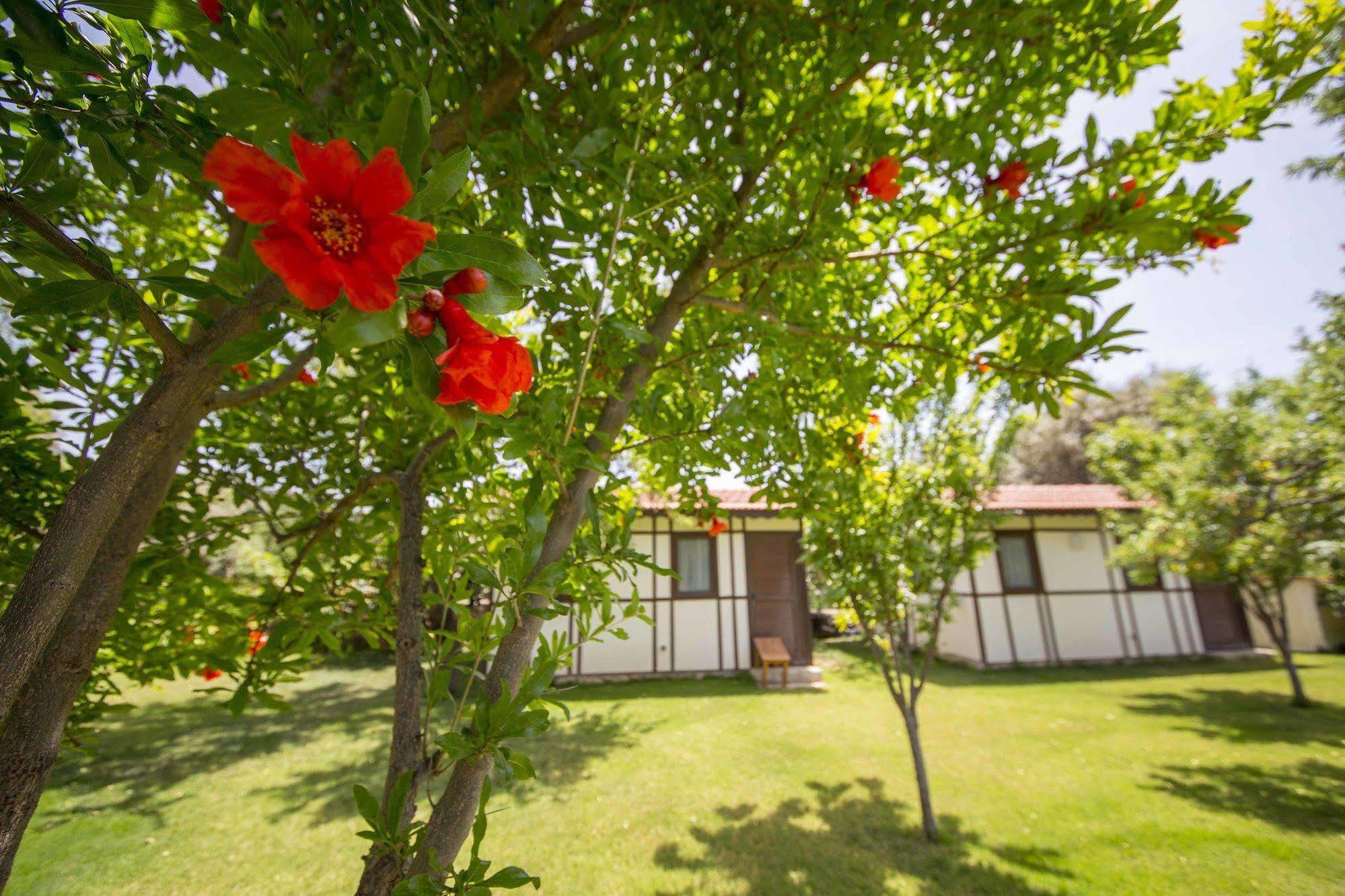 Bal Badem Bungalow Datça Luaran gambar