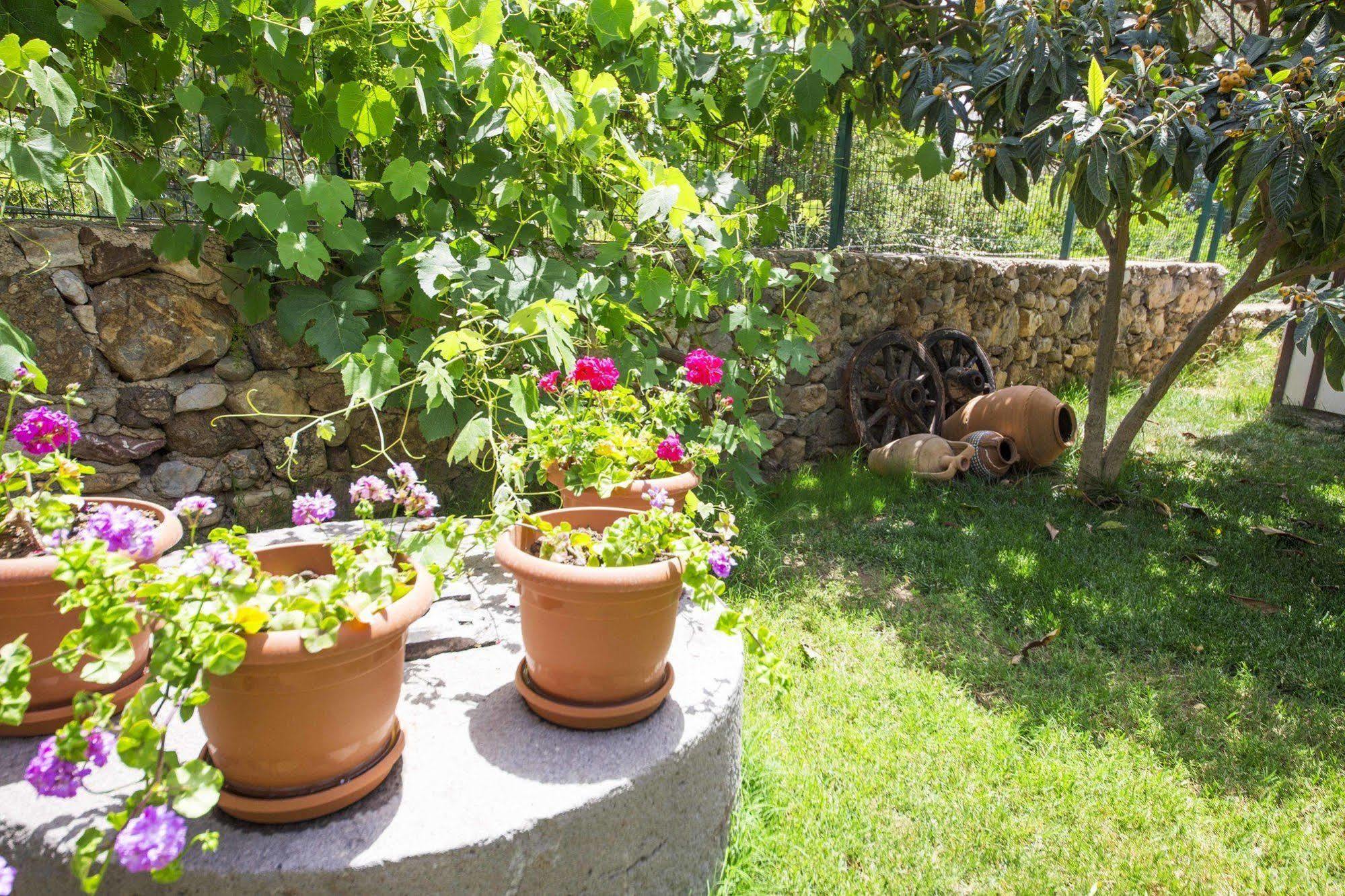 Bal Badem Bungalow Datça Luaran gambar