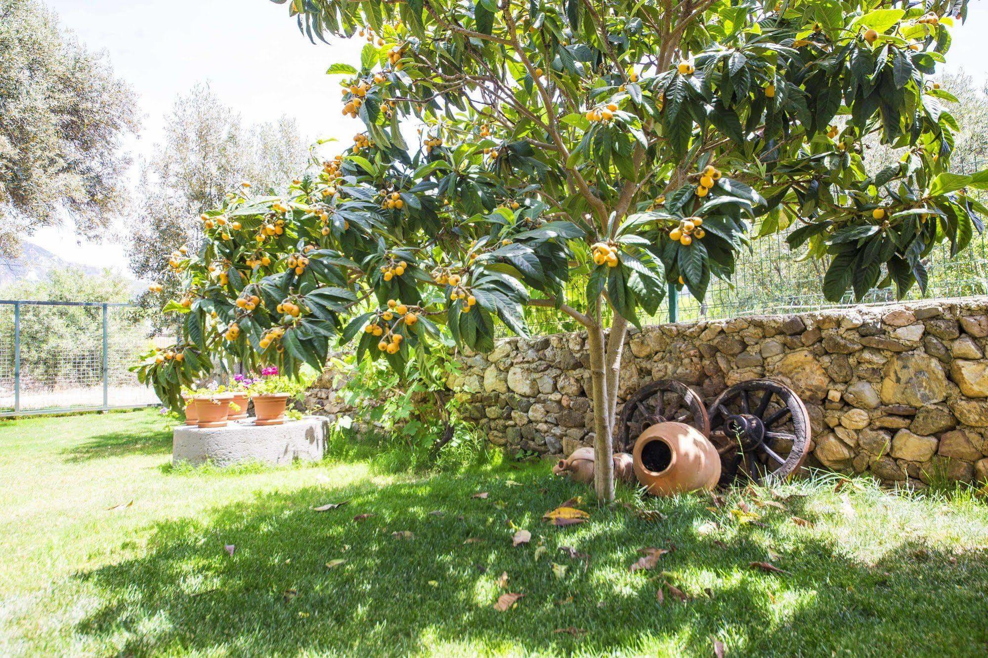 Bal Badem Bungalow Datça Luaran gambar